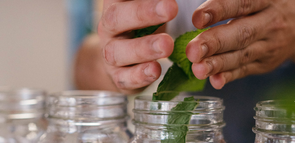 receta mojito ponderosa beach mallorca